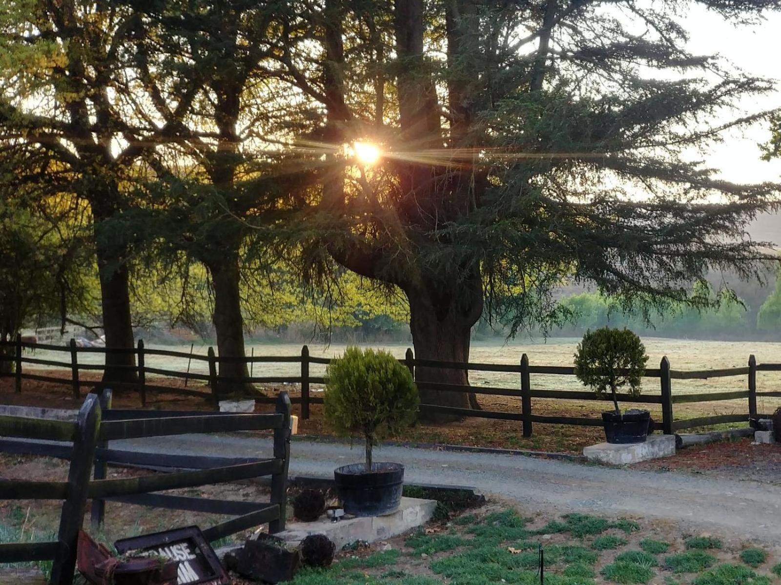 Flitwick Ranch Hotel Swartberg Ngoại thất bức ảnh