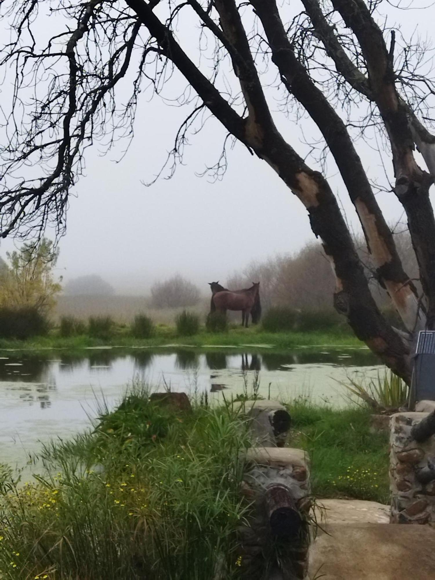 Flitwick Ranch Hotel Swartberg Ngoại thất bức ảnh